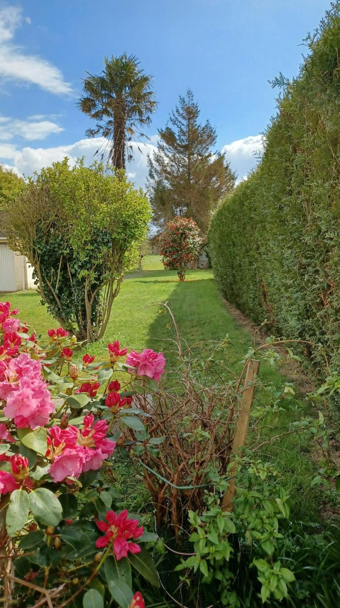 La Bretagne Ca Vous Gagne Villa Ploufragan Buitenkant foto